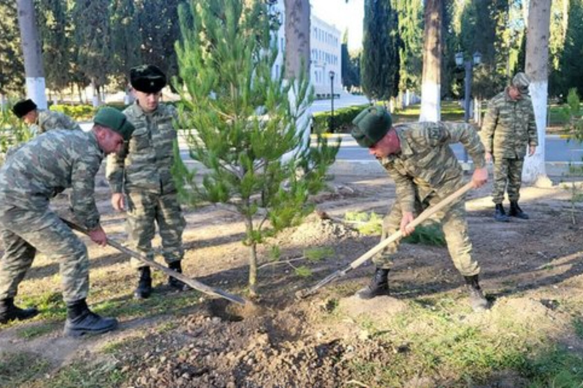 <p>Azərbaycan Ordusunda ağacəkmə aksiyaları keçirilir +FOTO=6</p>