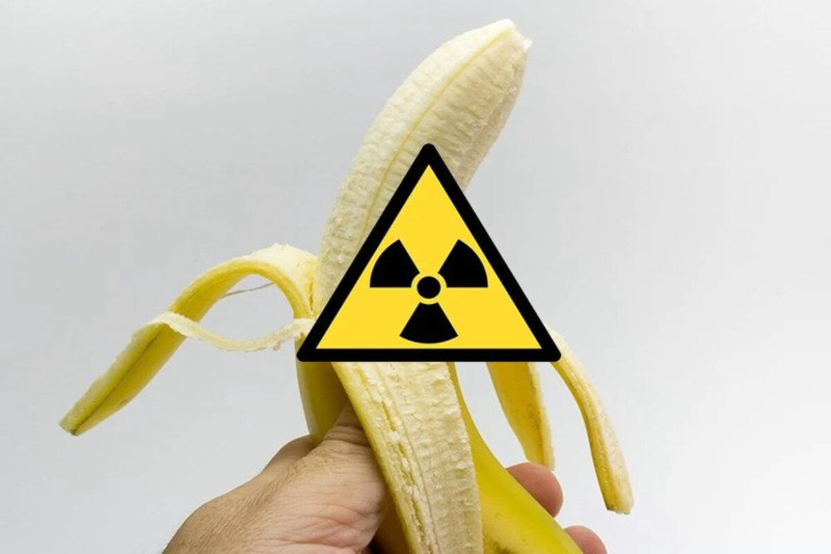 <p>Bananlar radioaktivdir</p>