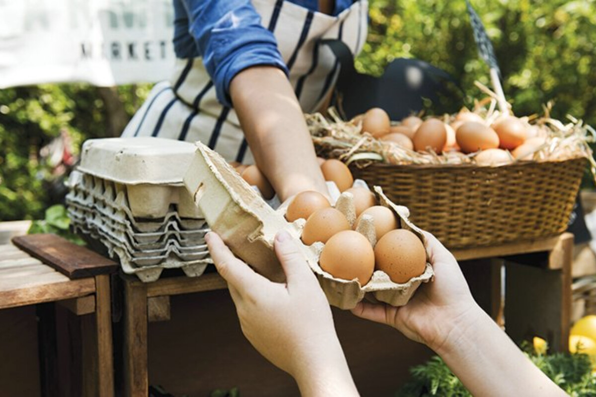 <p>Yumurtaların təhlükəli hala gəldiyini necə başa düşmək olar?</p>
