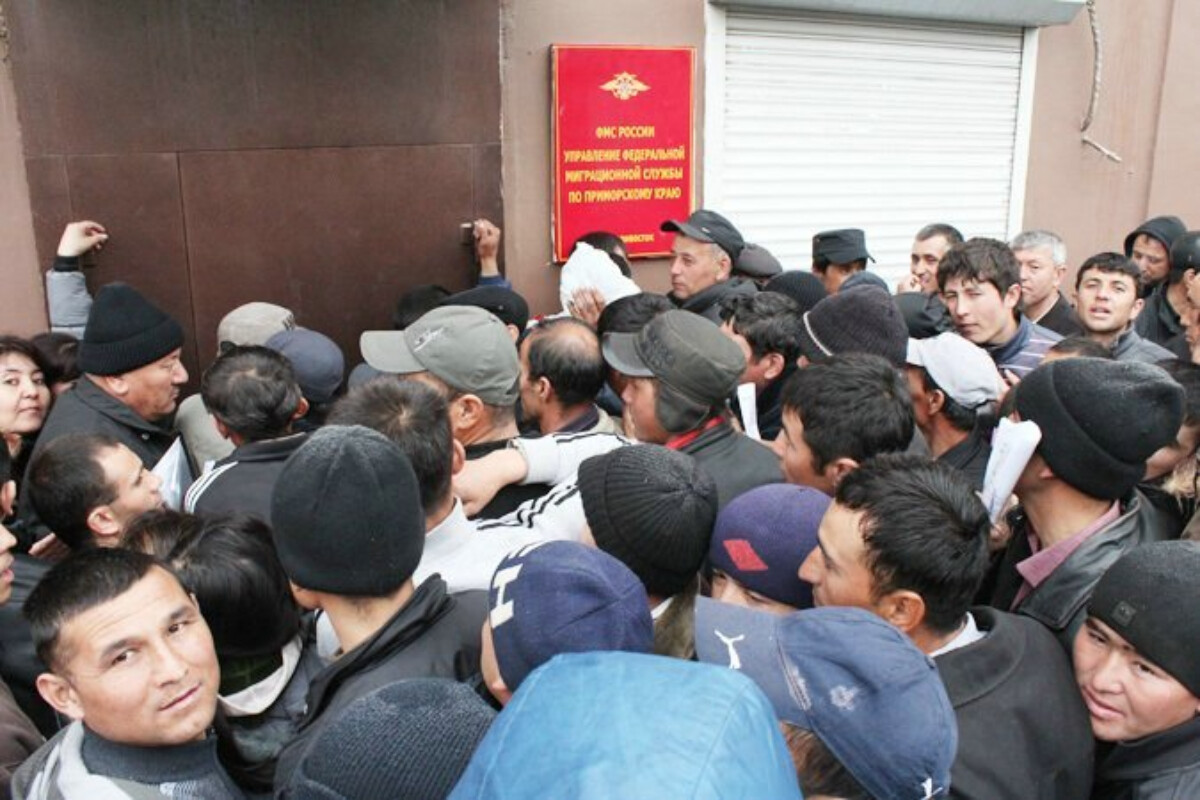 <p>Taciklərə axşamlar evlərini tərk etməmək tövsiyə olunub</p>