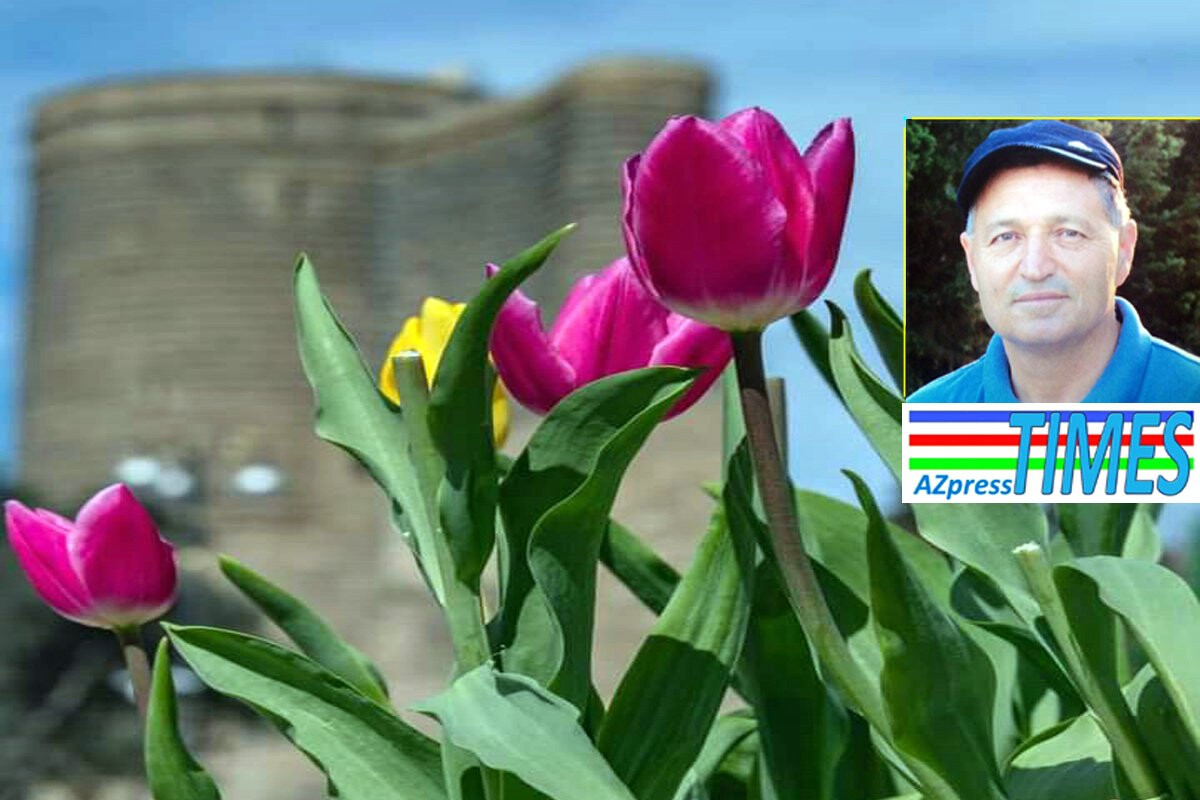 <p>Hümbət Quliyev: Baharın şəhərə gəlişi haqqında</p>