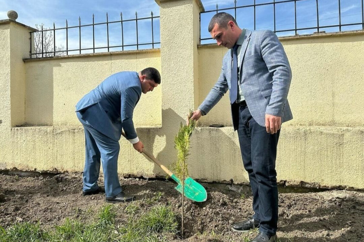 <p>ADPU-nun Quba filialında ağacəkmə aksiyası keçirilib</p>