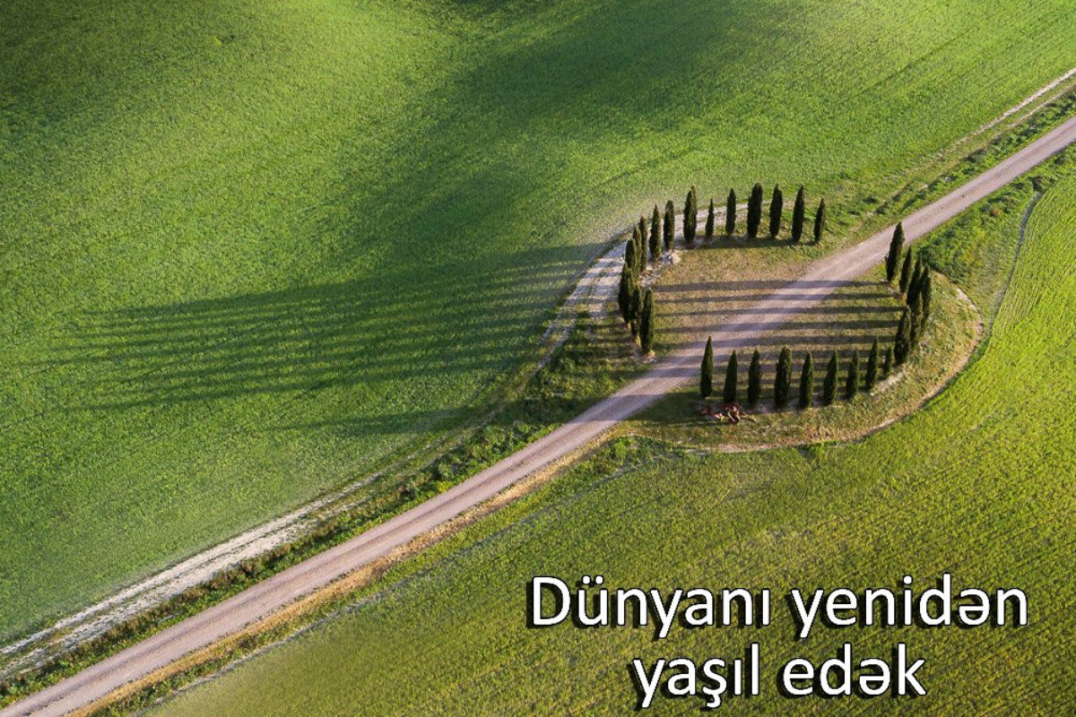 <p>“Dünyanı yenidən yaşıl edək” mövzusunda beynəlxalq fotomüsabiqə keçirilir</p>