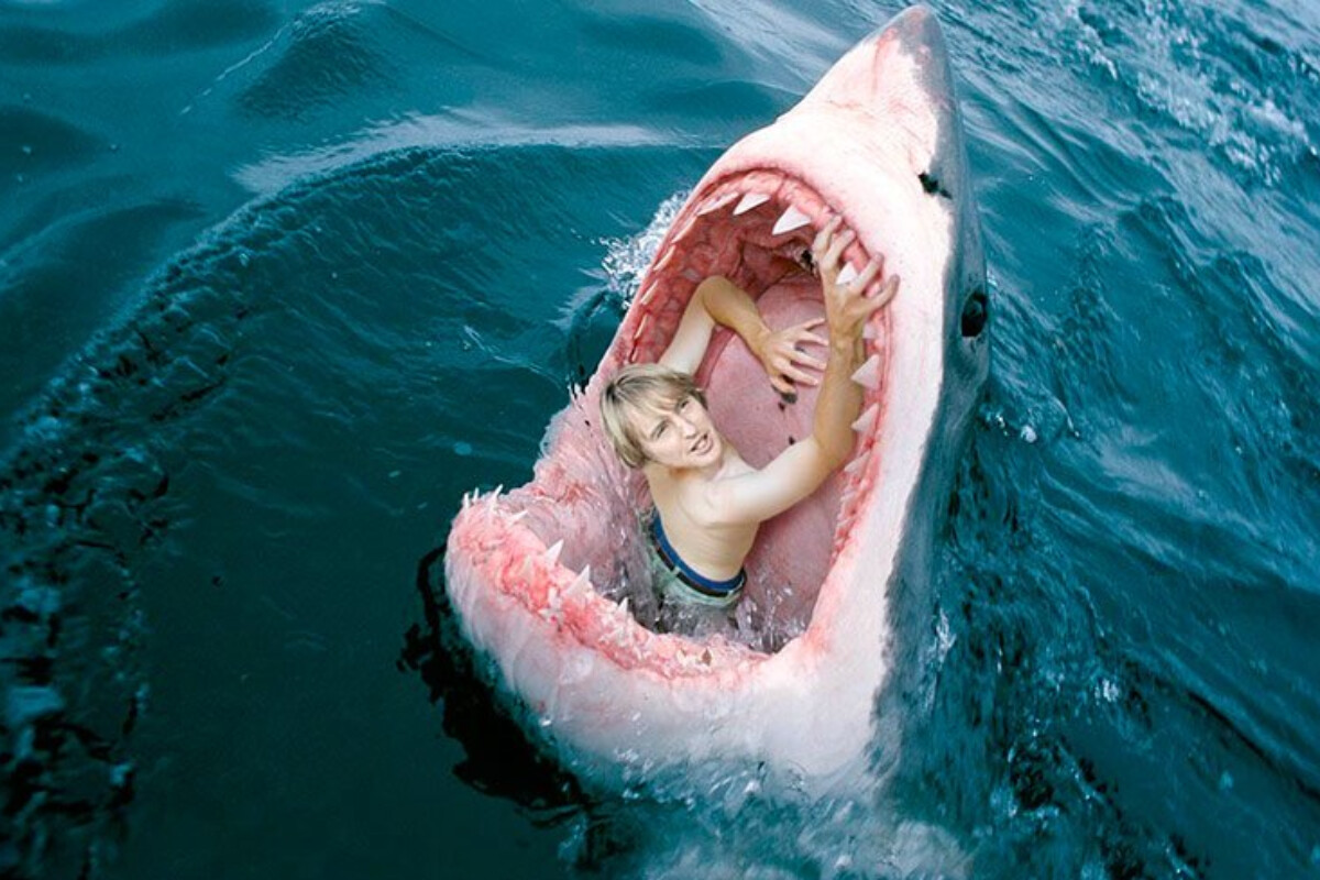 <p>Köpəkbalığının qurbanı olmamaq üçün nə etmək olar?</p>