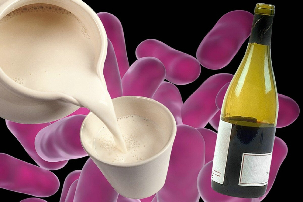 <p>Hansı məhsul şərabı güclü zəhərə çevirir?</p>