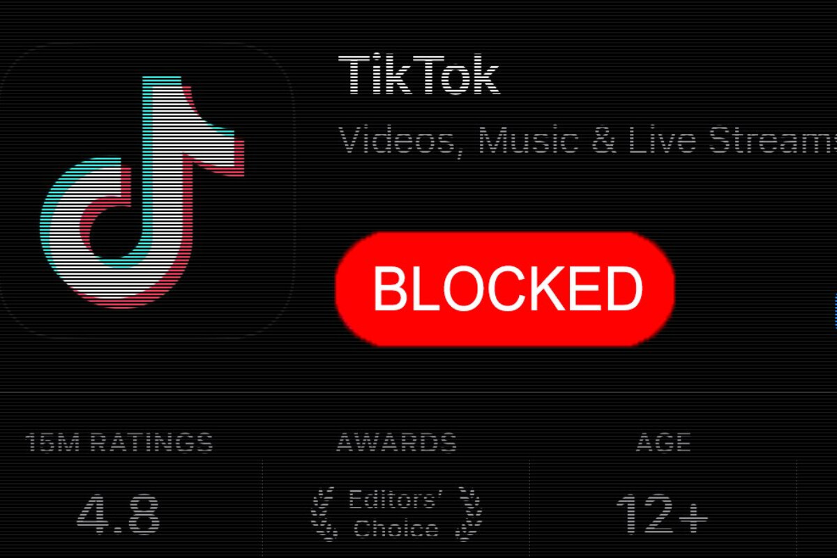 И в этой стране задумались о блокировке TikTok