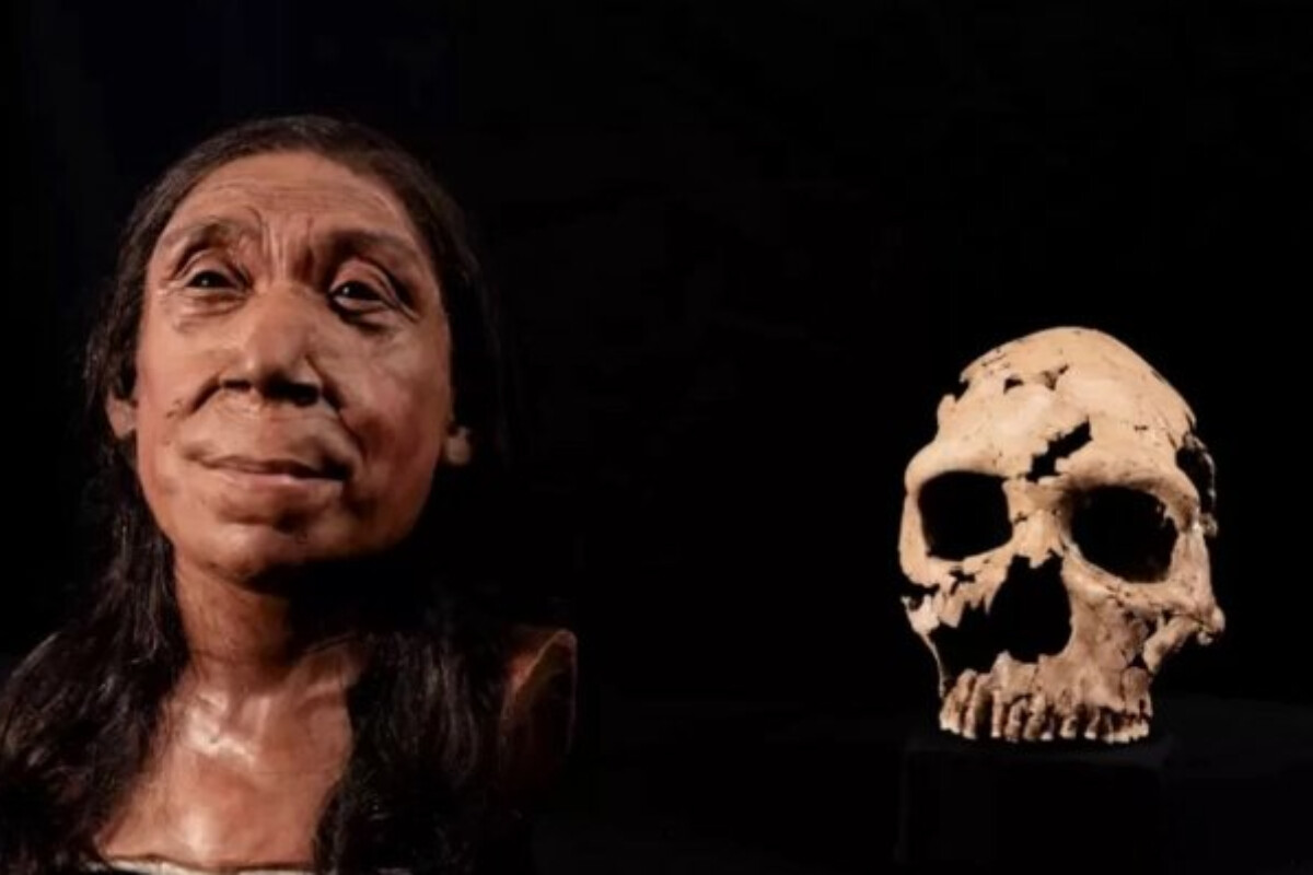 <p>75 min yaşlı neandertal qadının üzünü bərpa etdilər</p>
