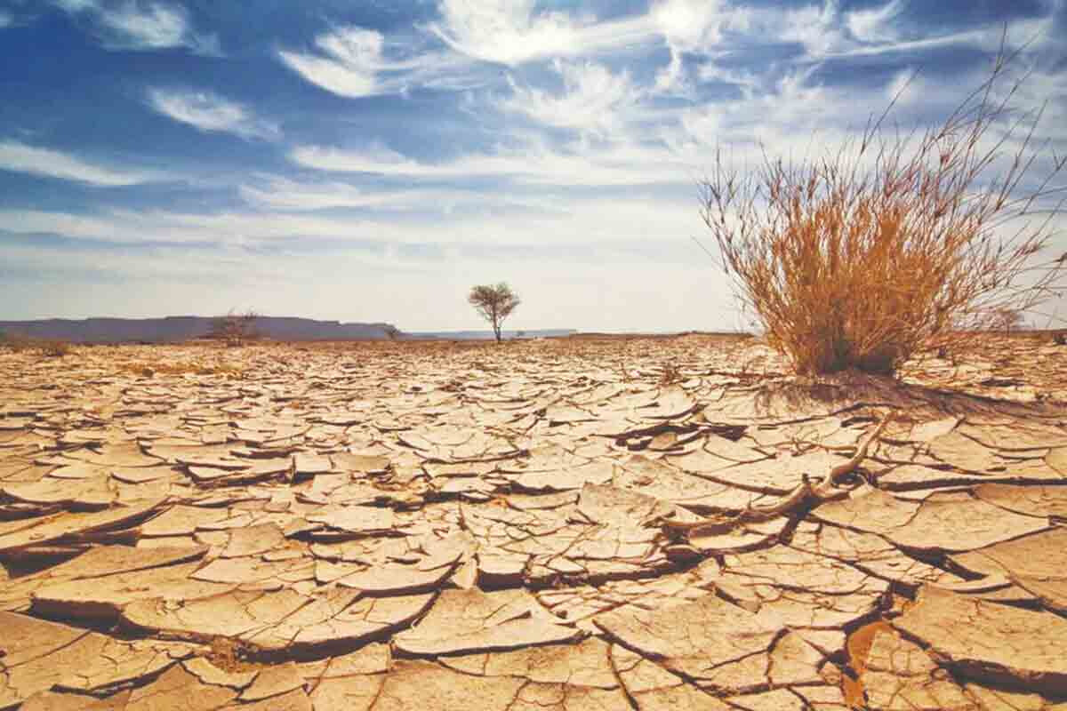 <p>Alimlər istilərin Afrika və Asiyanın bəzi hissələrini...</p>