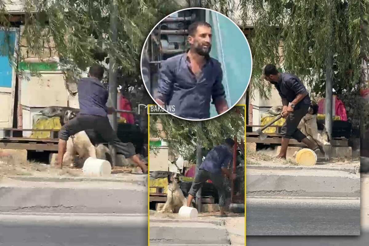 <p>İti baltalayan şəxs saxlanıldı -Ürəyi zəif olanlar BAXMASIN </p>
