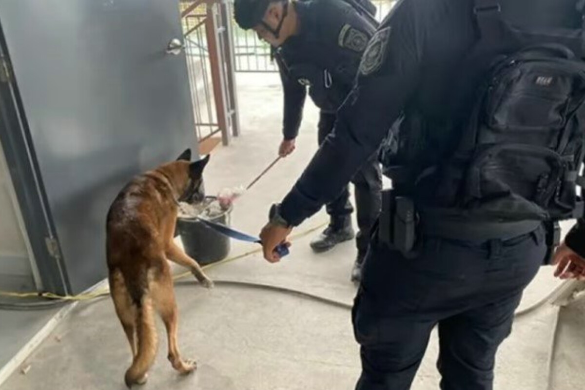 <p>Məktəb bomba xəbərinə görə təxliyə edildi</p>
