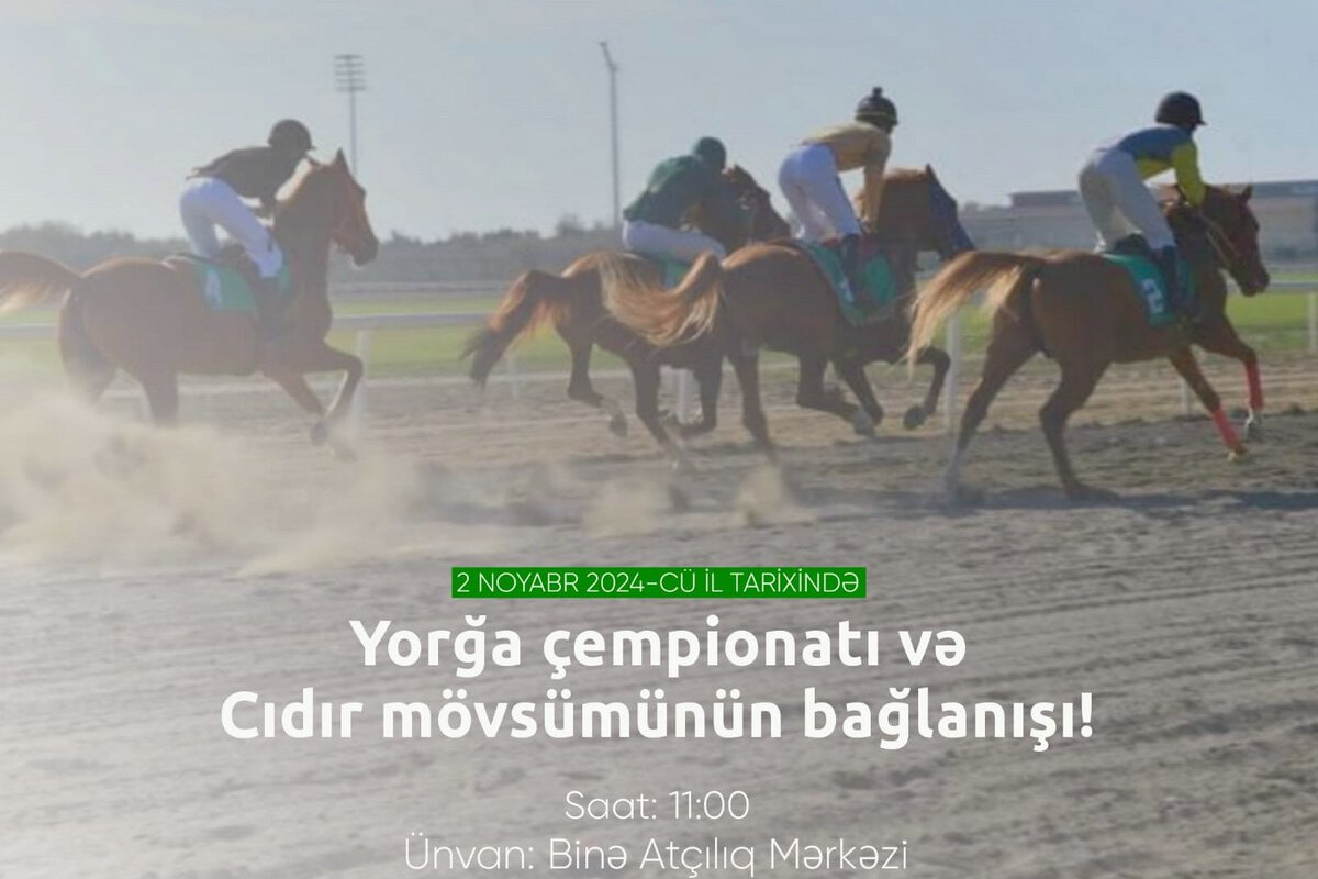 <p>Yorğa atlar Binədə at oylaqina çıxacaqlar</p>