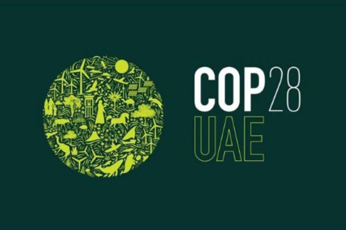 <p>COP28 Baş Müzakirəçi: Qlobal biomüxtəlifliyin&nbsp;itkisi ilə birlikdə mübarizə aparılmalıdır</p>