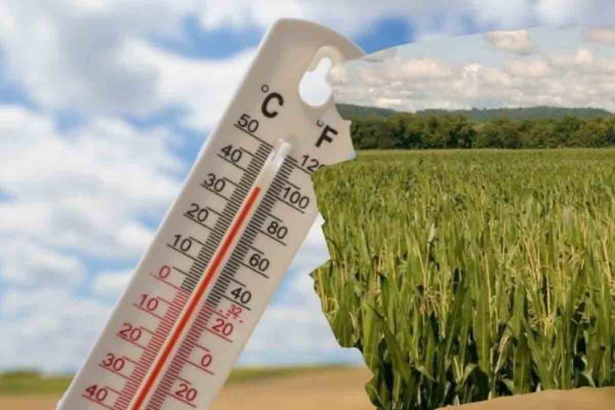 <p>Planet kritik temperatur maneəsini aşa bilər</p>