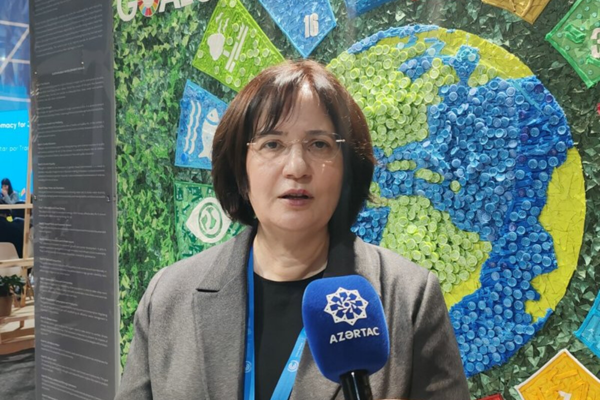 <p>COP-31-ə ev sahibliyi etmək üçün Antalyanın namizədliyi irəli sürülüb</p> 