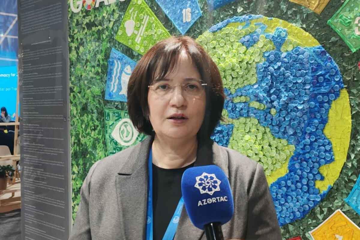 <p>COP-31-ə ev sahibliyi etmək üçün Antalyanın namizədliyi irəli sürülüb</p> 