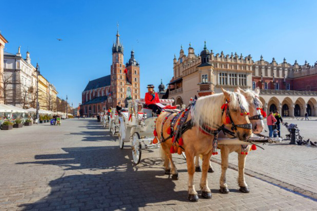 <p>Dünyanın ən təmiz şəhəri müəyyənləşdi</p>