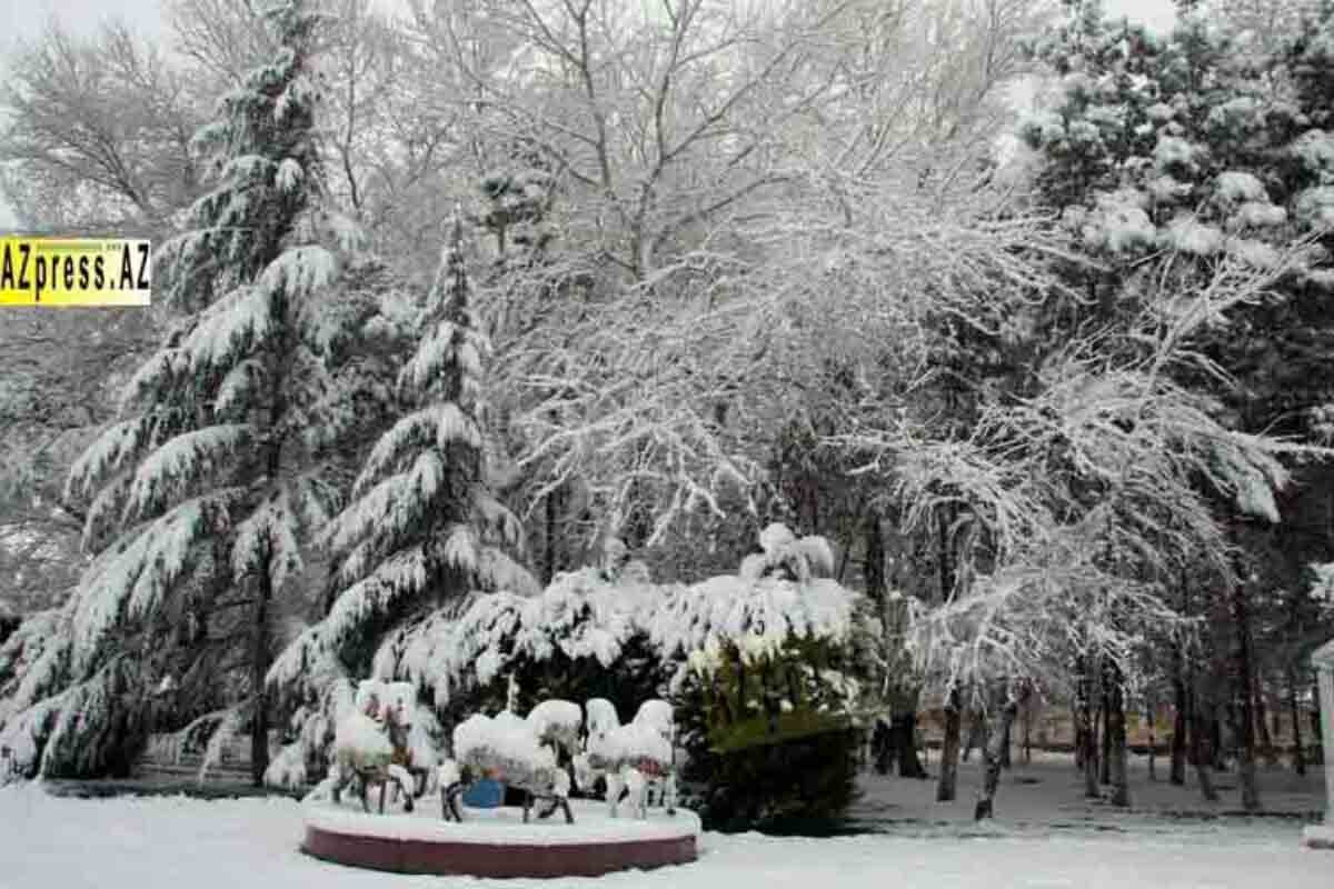 Ağcabədinin qış mənzərəsi - FOTOREPORTAJ