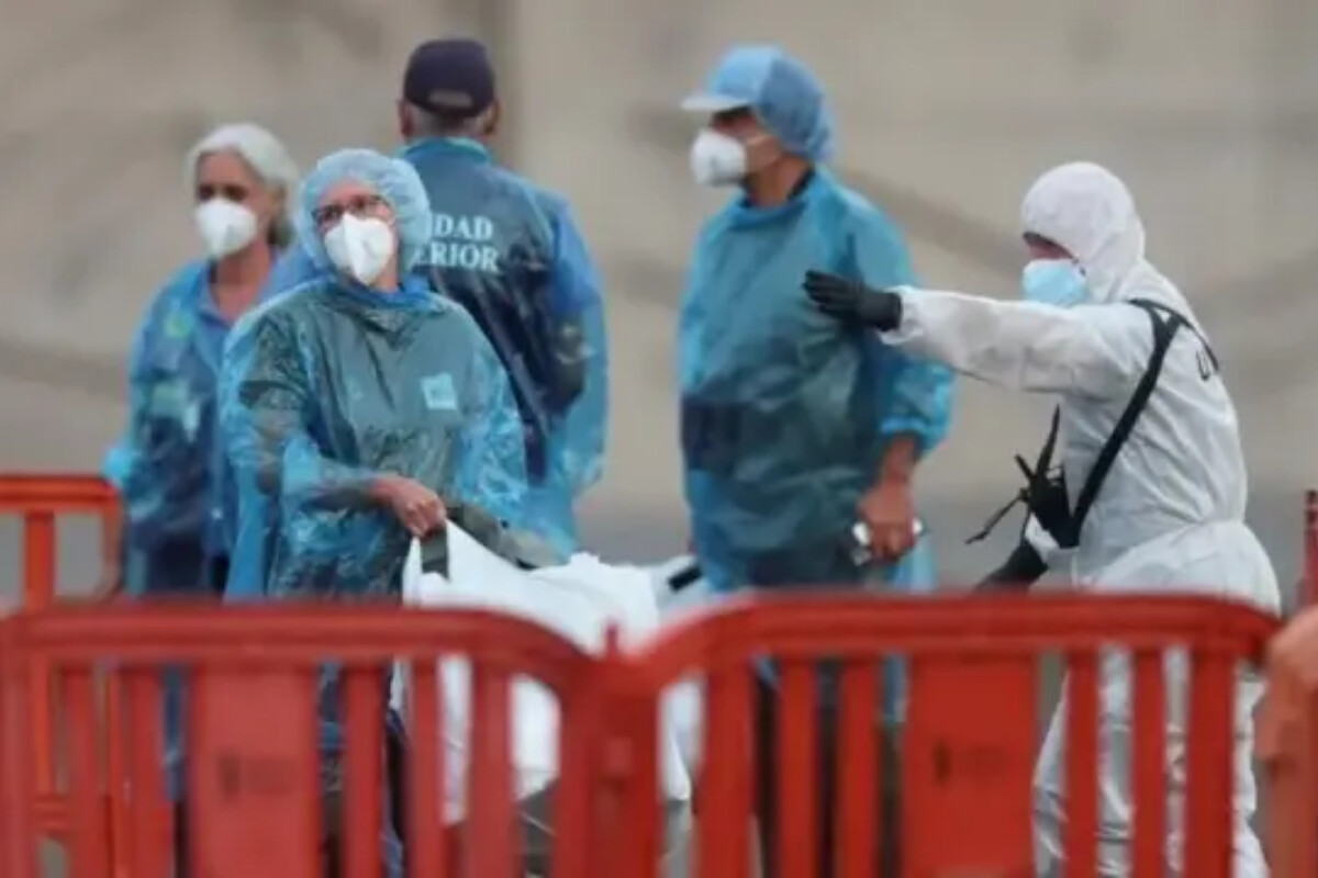 <p>ÜST yeni hantavirus infeksiyası barədə məlumat yayıb</p>