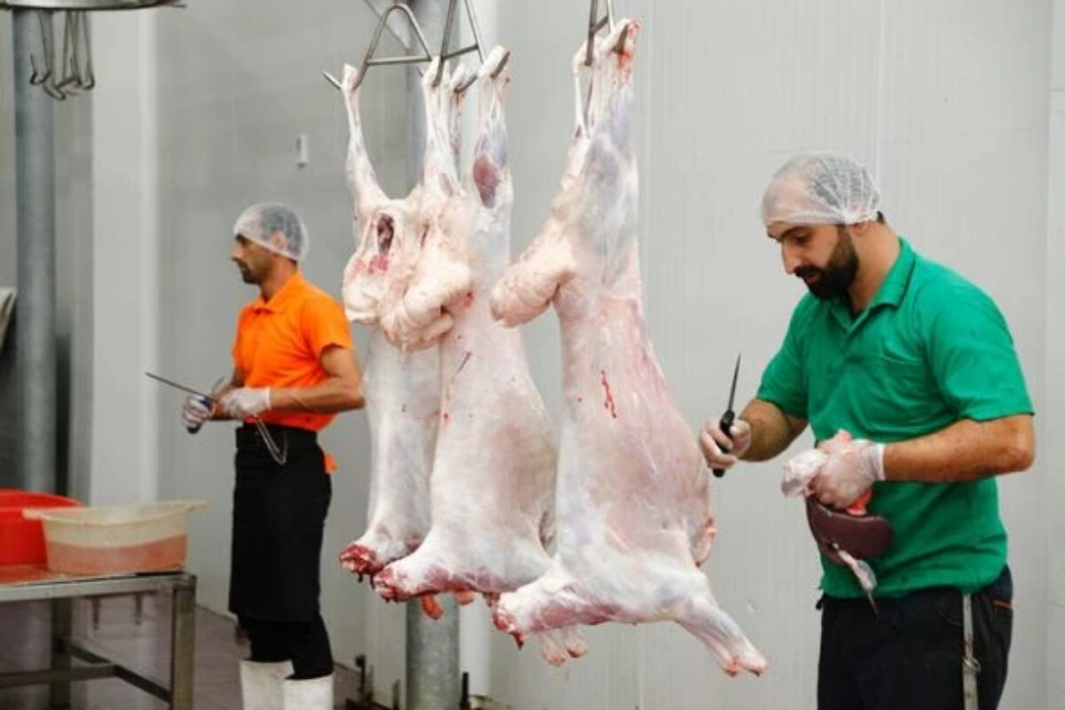 <p>Qurbanlıq heyvanların satışı və kəsimi&nbsp;üçün 134 məntəqə yaradılıb</p>