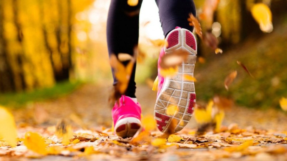 <p>Alimlər fiziki fəaliyyətin beyni necə qoruduğunu kəşf ediblər</p>