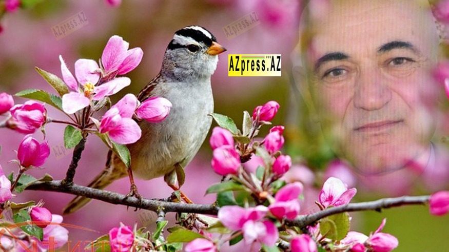 <p>Vaqif Bəhmənli:&nbsp;YAZ NAXIŞLARI</p>