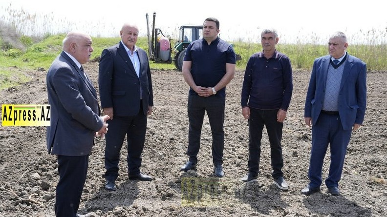 <p>Ağcabədidə çiyid səpininə start verildi</p>

<p>&nbsp;</p>