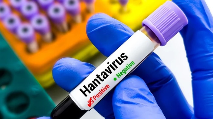 <p>Hantavirusun yayılmasının səbəbi müəyyən edilib</p>
